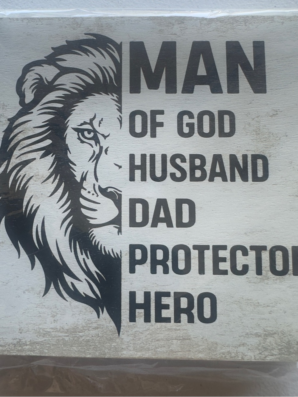 Gray Lion 'Man of God Husband Dad Protector Hero' Wall Art